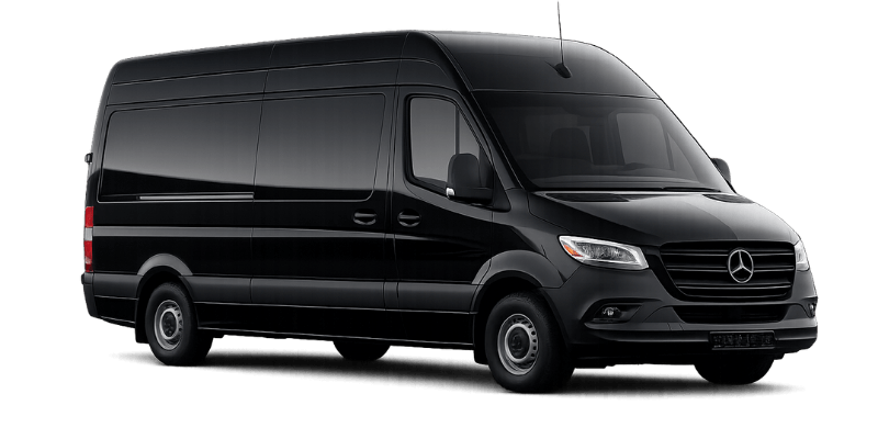 LEEMO BLACK VAN Home